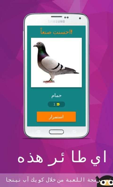 Birds Guess Game (Arabic) screenshot 2