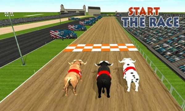 Bull Racing Fever स्क्रीनशॉट 7