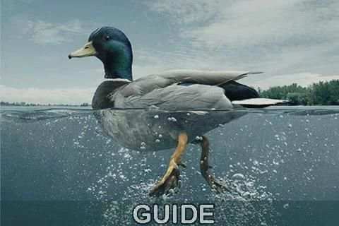 Guide PicsArt screenshot 1