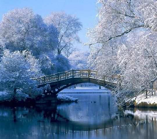 Snow Wallpapers скриншот 5