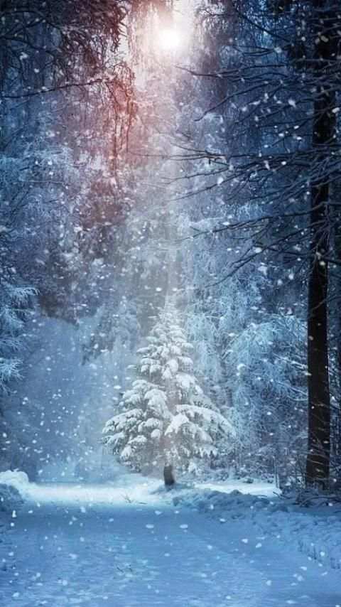 Snow Wallpapers screenshot 9