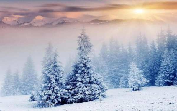 Snow Wallpapers скриншот 4