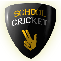 School Cricket أيقونة