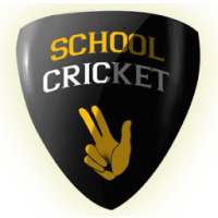 School Cricket