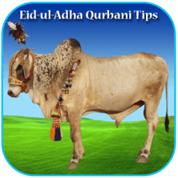 Eid-ul-Adha Qurbani Tips icon