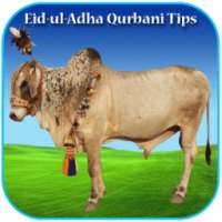 Eid-ul-Adha Qurbani Tips on 9Apps