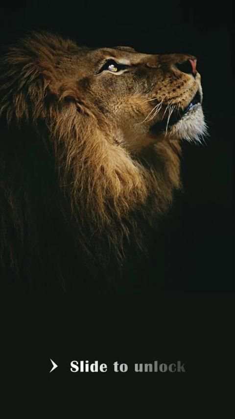 Lion Theme For Applock скриншот 2