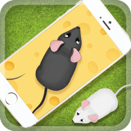 Games for the cat Mouse icon