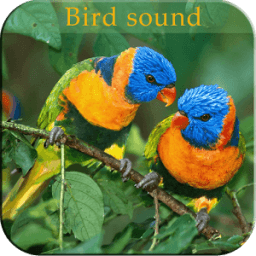 Bird Sound आइकन