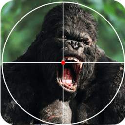 Wild Gorilla Hunting Free Games 2017