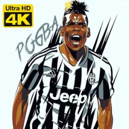 Paul Pogba Wallpapers HD 1.0