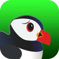 Ultimate Puffin Browser Pro Tips