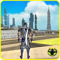 City Samurai Warrior Hero 3D