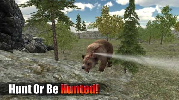 Animal Hunting Wild Adventure Hunting Animals New screenshot 6
