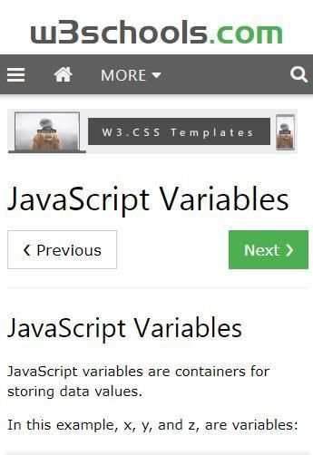 JavaScript W3Schools скриншот 5