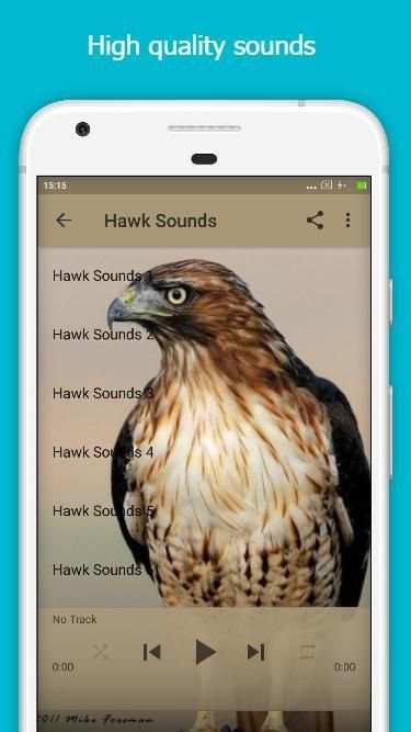 Hawk Sounds 3 تصوير الشاشة