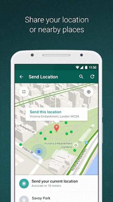 WhatsApp screenshot 2
