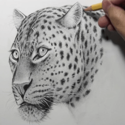 How to Draw Animals иконка