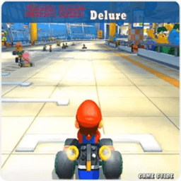 Guide Mario Kart 8 Delure иконка