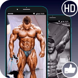 ikon HD Bodybuilding Wallpaper - 2018