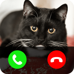 Fake call from cat иконка