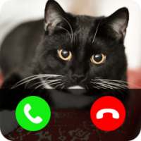 Fake call from cat