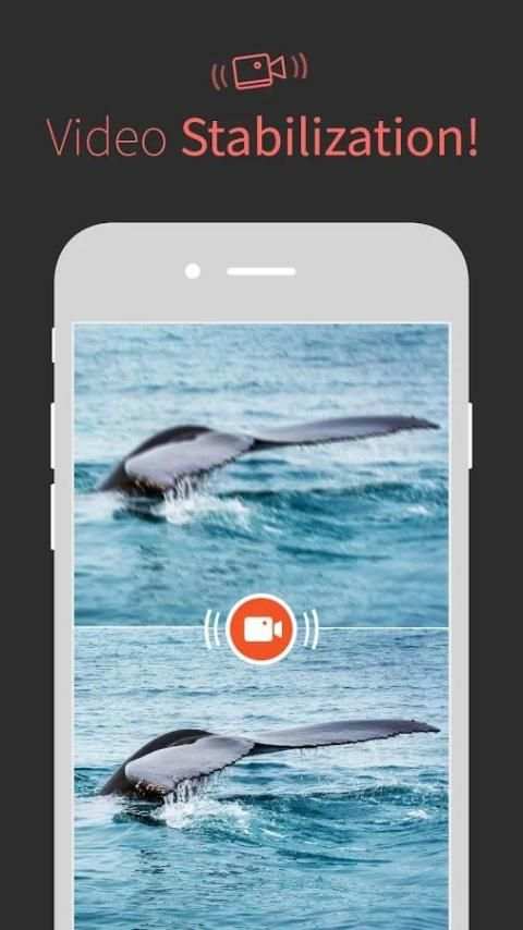 Musemage screenshot 5