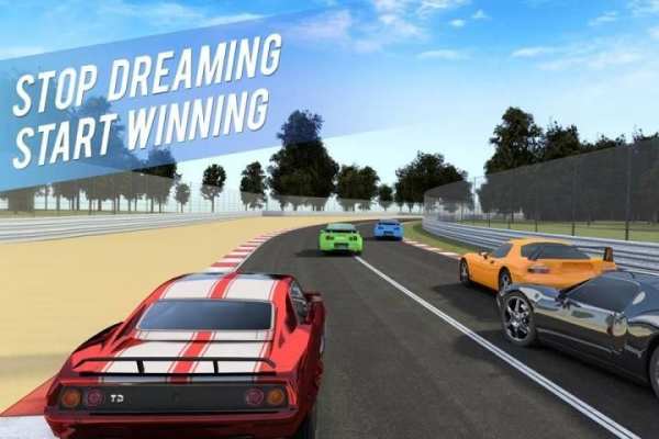 Real Race: Speed Cars & Fast Racing 3D 19 تصوير الشاشة