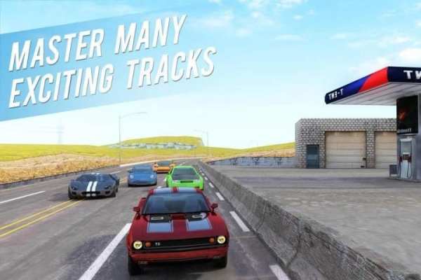 Real Race: Speed Cars & Fast Racing 3D 17 تصوير الشاشة