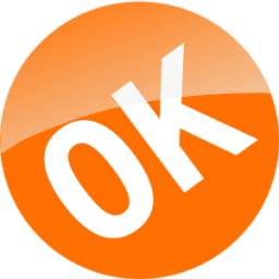 Одноклассники в сети 1.0