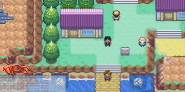 tips for POKEMON FIRE RED VERSION screenshot 1