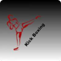 Kick boxing training