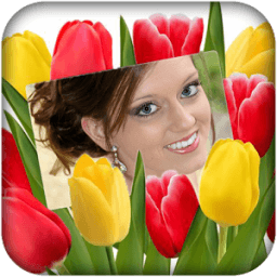 Tulip Photo Frames أيقونة