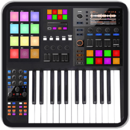 ikon Electronic ORG 2018