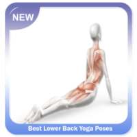 Best Lower Back Yoga Poses on 9Apps