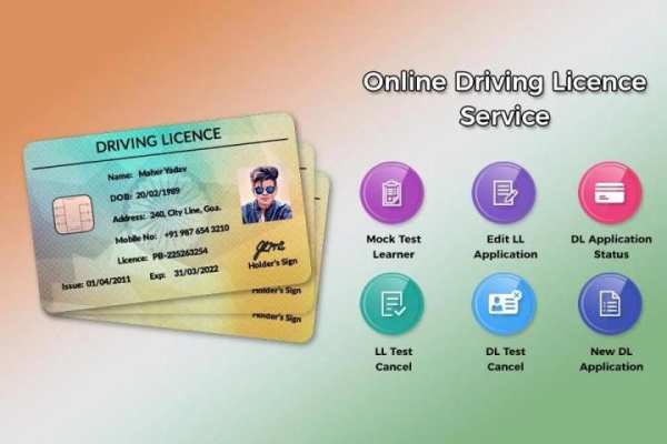Online Driving Licence Service screenshot 1