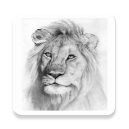 ikon Sketch Pencil Drawing