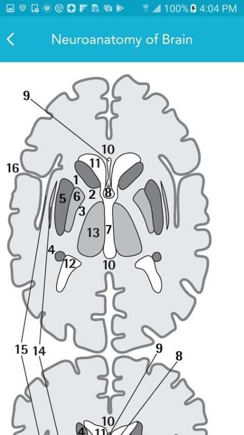 Neurology Essentials 1 تصوير الشاشة