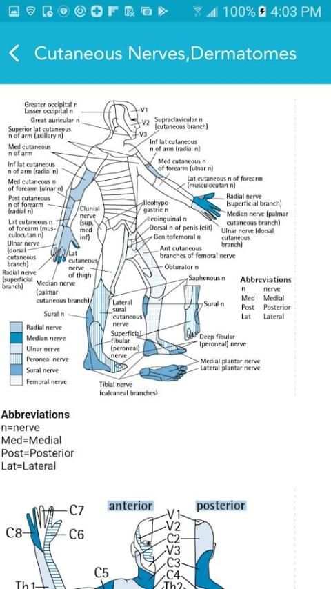 Neurology Essentials 3 تصوير الشاشة