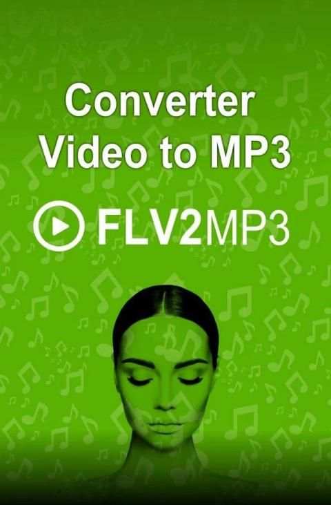 FLV2MP3-Converter screenshot 2