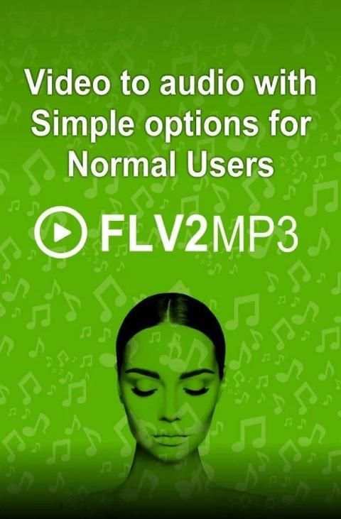 FLV2MP3-Converter screenshot 3
