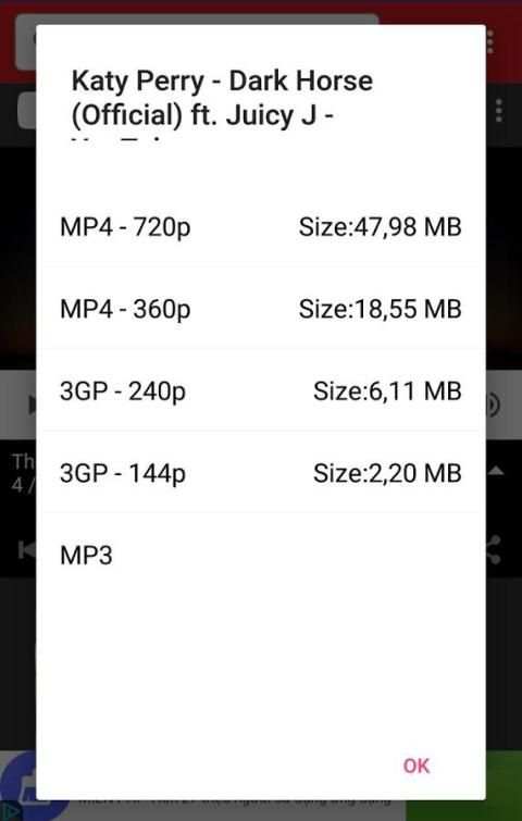Video Downloader Master скриншот 2
