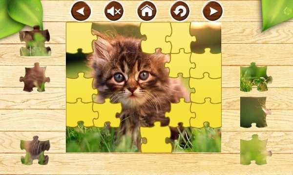 Kitten Cat Jigsaw Puzzles Game screenshot 5