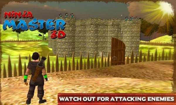 Ninja Master 3D screenshot 1