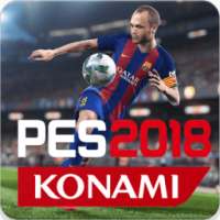 Guide PES 18