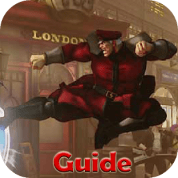 ikon Guide for Street Fighter