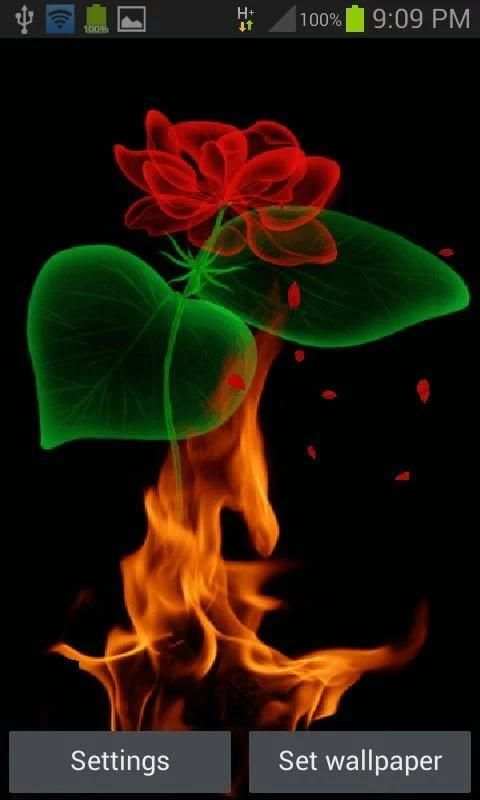 Fiery Rose Magic LWP 1 تصوير الشاشة
