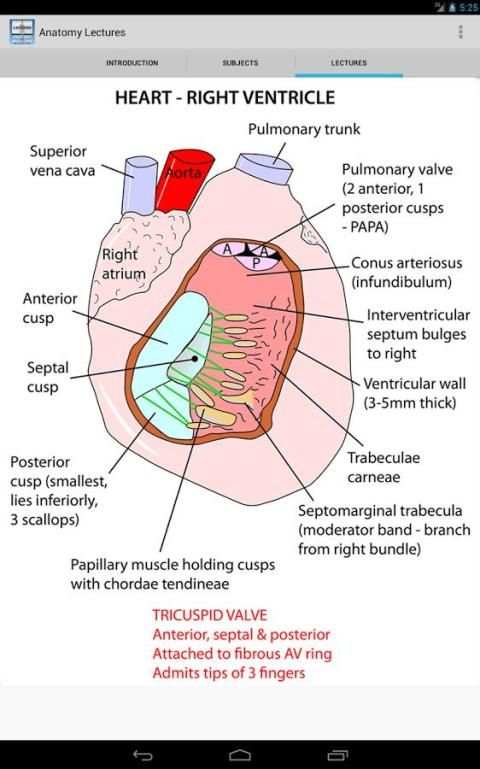 Anatomy Lectures screenshot 3