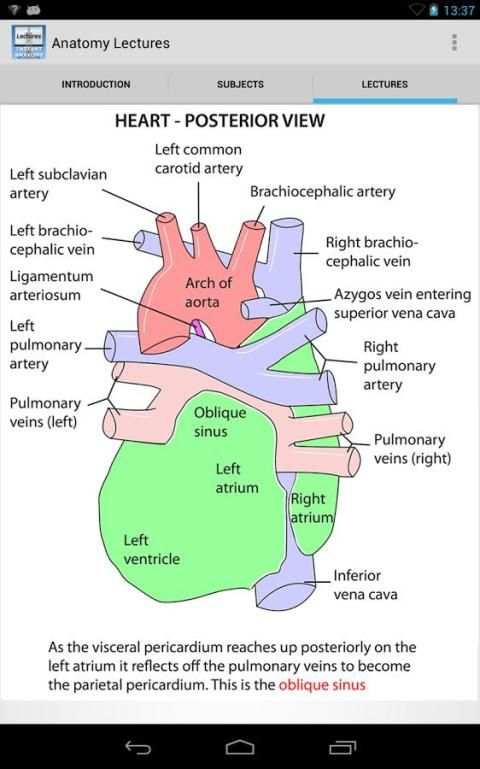 Anatomy Lectures screenshot 2
