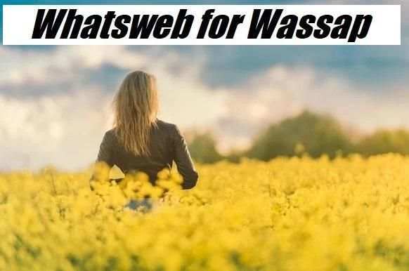Whatsweb for Wassap Steps screenshot 1